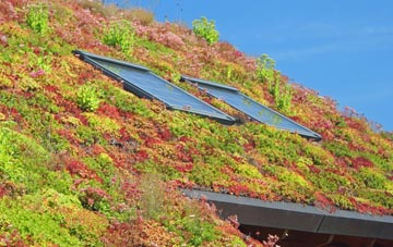 Jeffreyston living roof systems