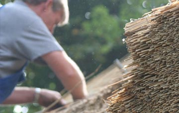 professional Jeffreyston thatchers