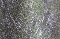 Jeffreyston fibreglass roof work